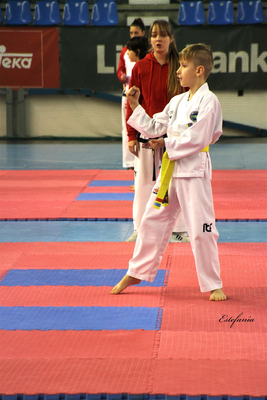 Taekwondo (73).jpg